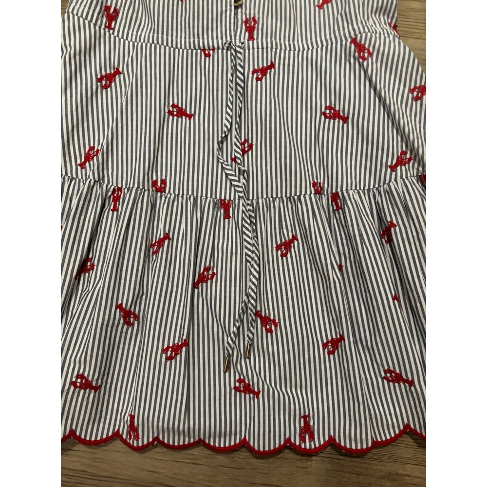 Lands' End Long Sleeve Lobster Embroidery Mini Popover Dress Medium 10/12 - Picture 2 of 11